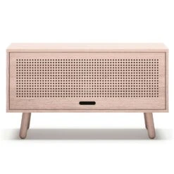 Ray Mediakast 100 Cm, Askleurig