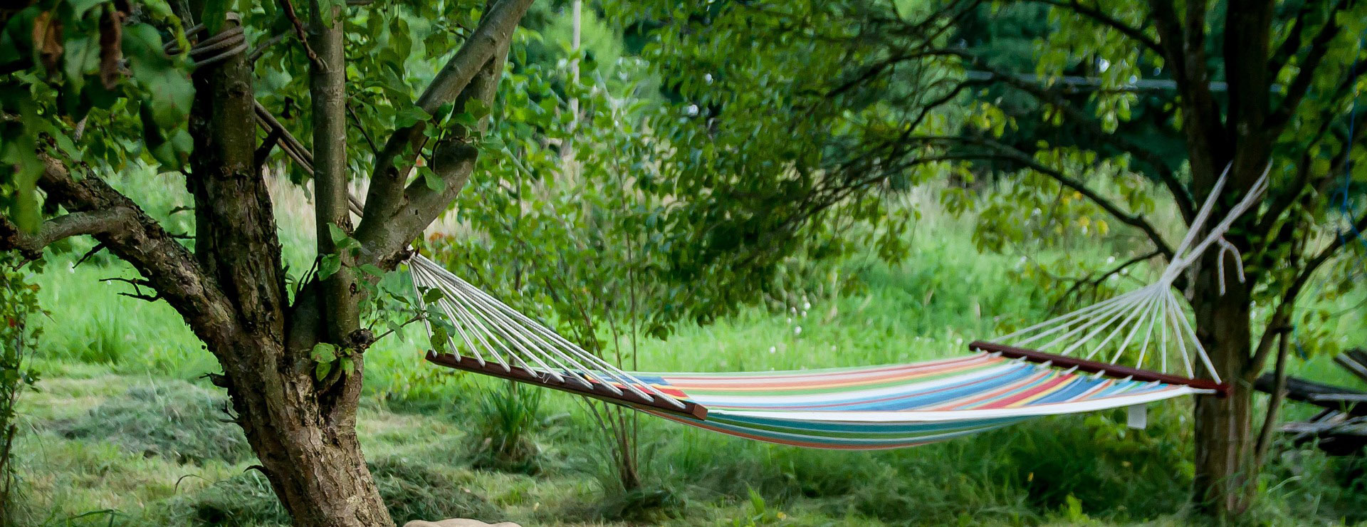 Meubelwinkel -Meubelwinkel park 3780073 1920